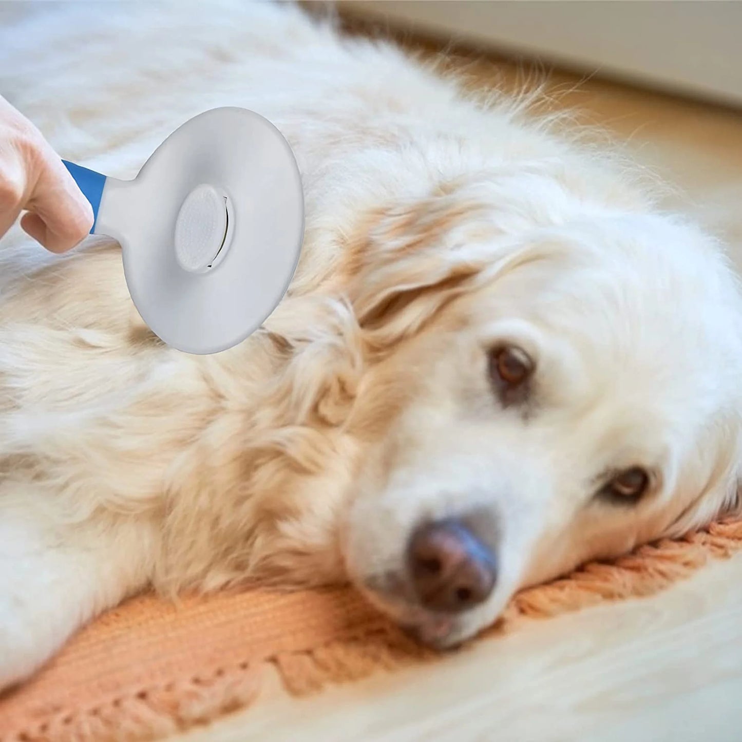 Cat and Dog Brush, Self Cleaning Grooming Brush - for Shedding and Grooming - Our Pet Brushes Are Suitable for Dogs and Cats All Hair Lengths